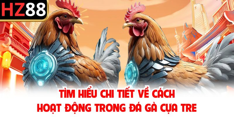 Tìm hiểu chi tiết về cách hoạt động trong đá gà cựa tre